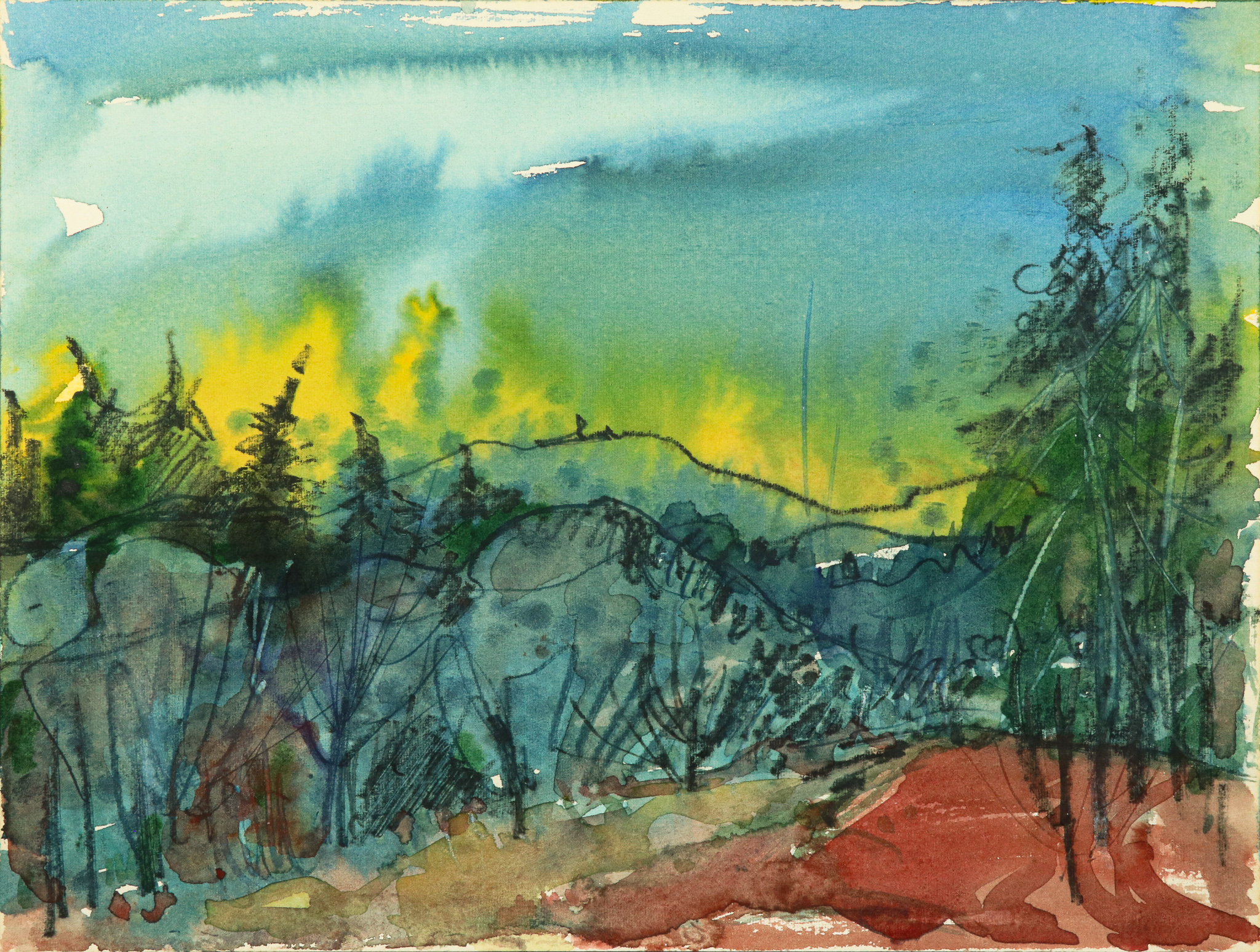 Wildes Waldstück